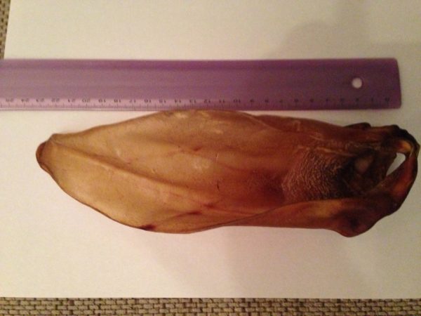 Gedroogde runderoren (18-23cm) met oorpit-0